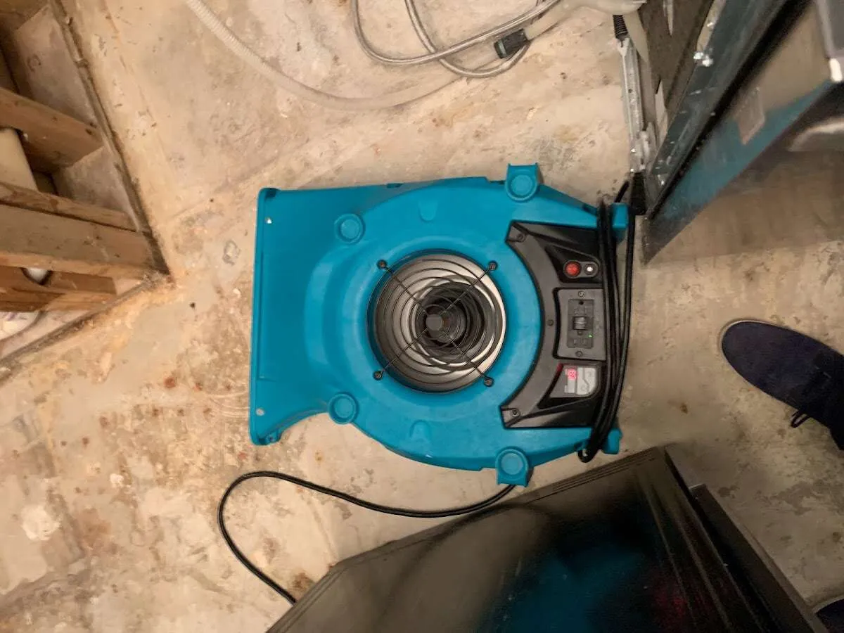 Air mover drying equipment for Mold Remediation & Removal in Fort Worth